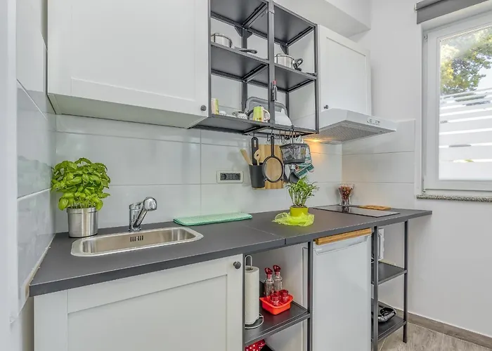 Maximilian&stela 4* 波雷奇